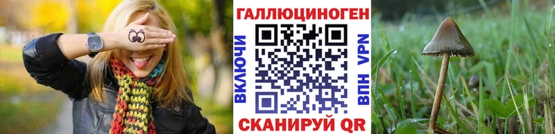 Псилоцибиновые грибы Psilocybine cubensis  цены   Архангельск 